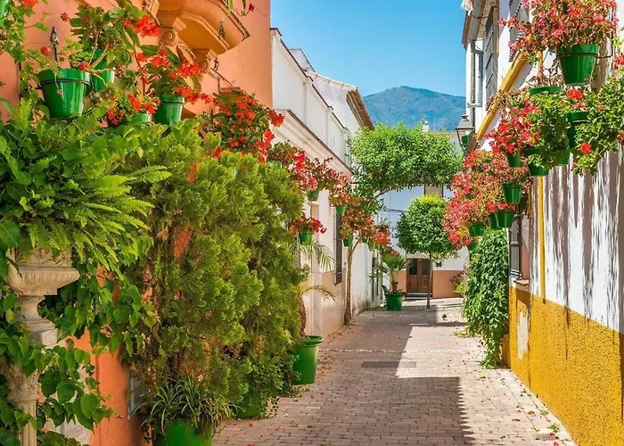 Beautiful Very Apartamento Estepona