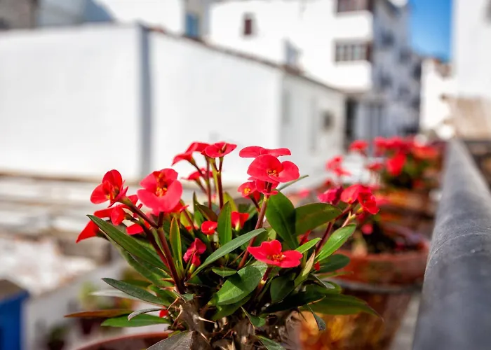 Beautiful Very Estepona